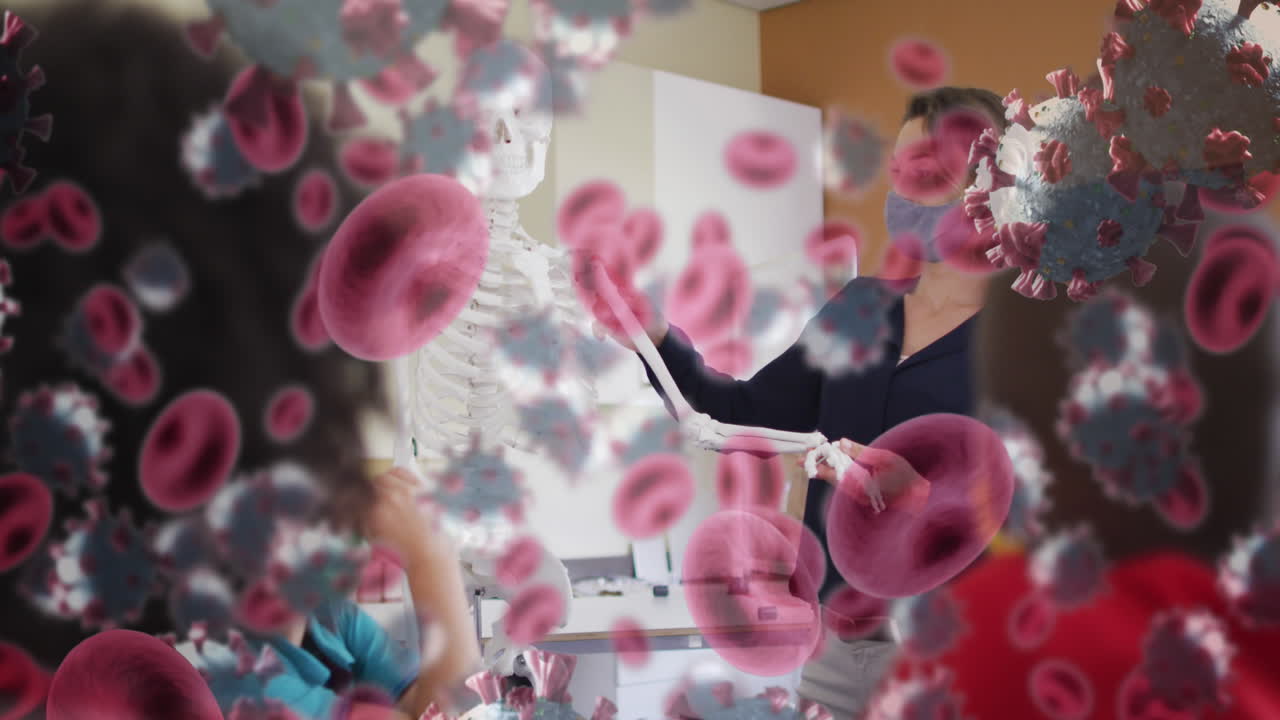 학교에서 해부학을 가르치는 여성 교사에게 여러 개의 코로나19 세포와 혈관이 떠다니고 있습니다.