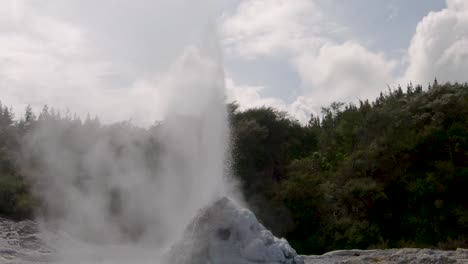 cerca del géiser lady knox en erupción