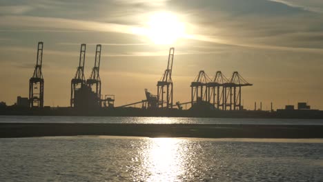 silhouette shipping seaport cargo loading cranes on shimmering sunrise water