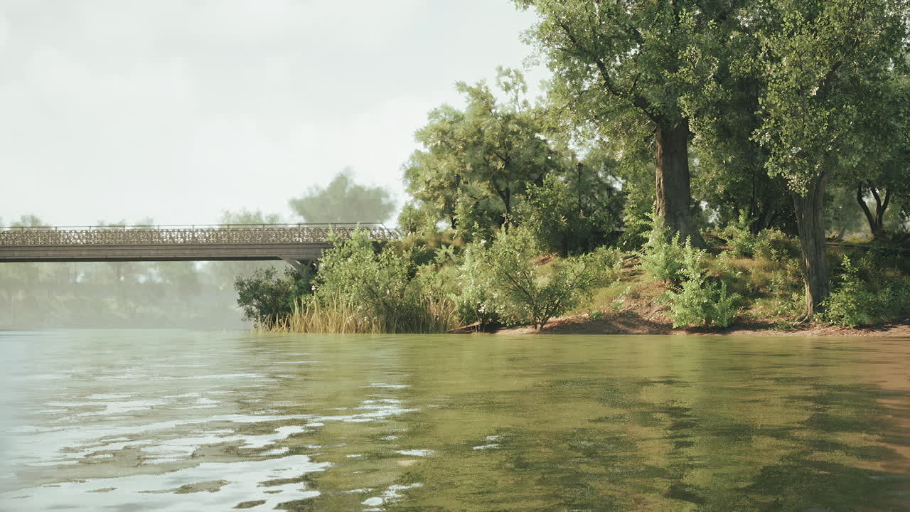 Tranquil riverside view featuring a bridge and lush greenery in daylight