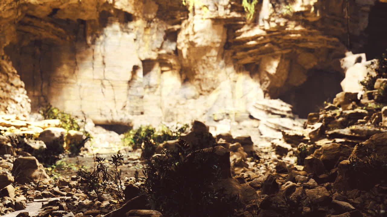 Rock formations and lush plants in a serene cave setting