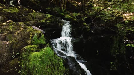 water running through peaceful forest in wales