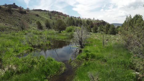 willow creek pass with reflections in oregon, united states