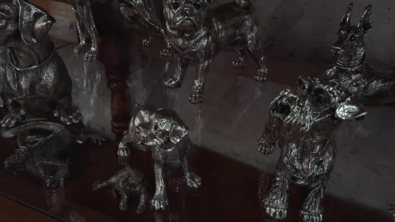 Figure d'argento di animali al negozio Taxco, ripresa a mano.