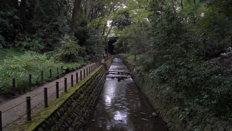 calm scenery inside tokyo's only natural valley, todoroki valley in the city center