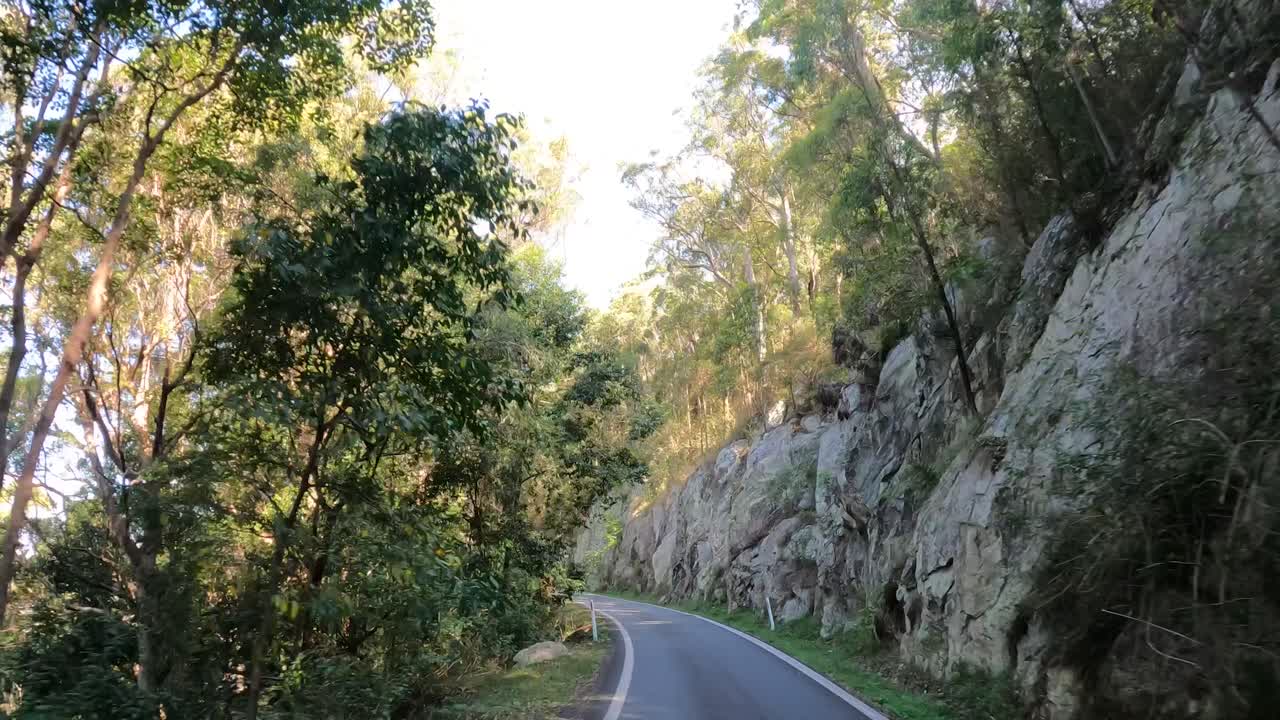 camino sinuoso a través de un paisaje de bosque exuberante y verde