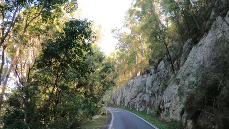 camino sinuoso a través de un paisaje de bosque exuberante y verde
