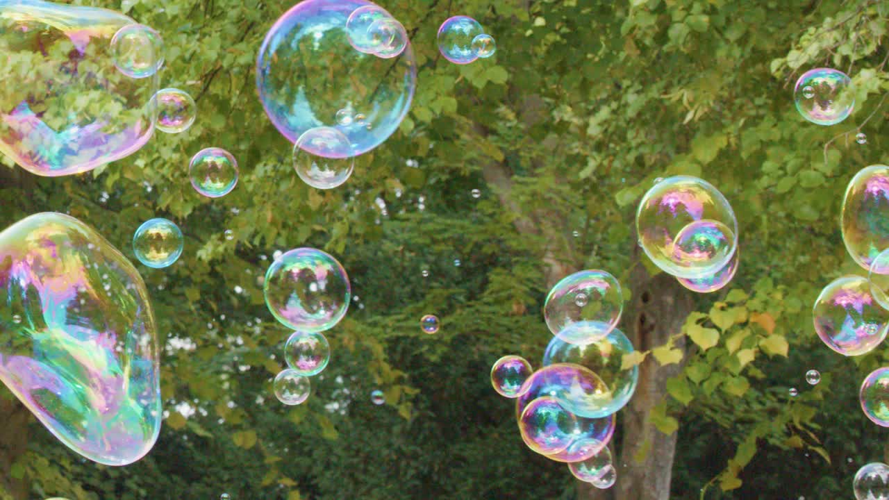 Multiple iridescent soap bubbles drift gently among lush green trees in a sunlit park, captured with a steady camera and natural lighting