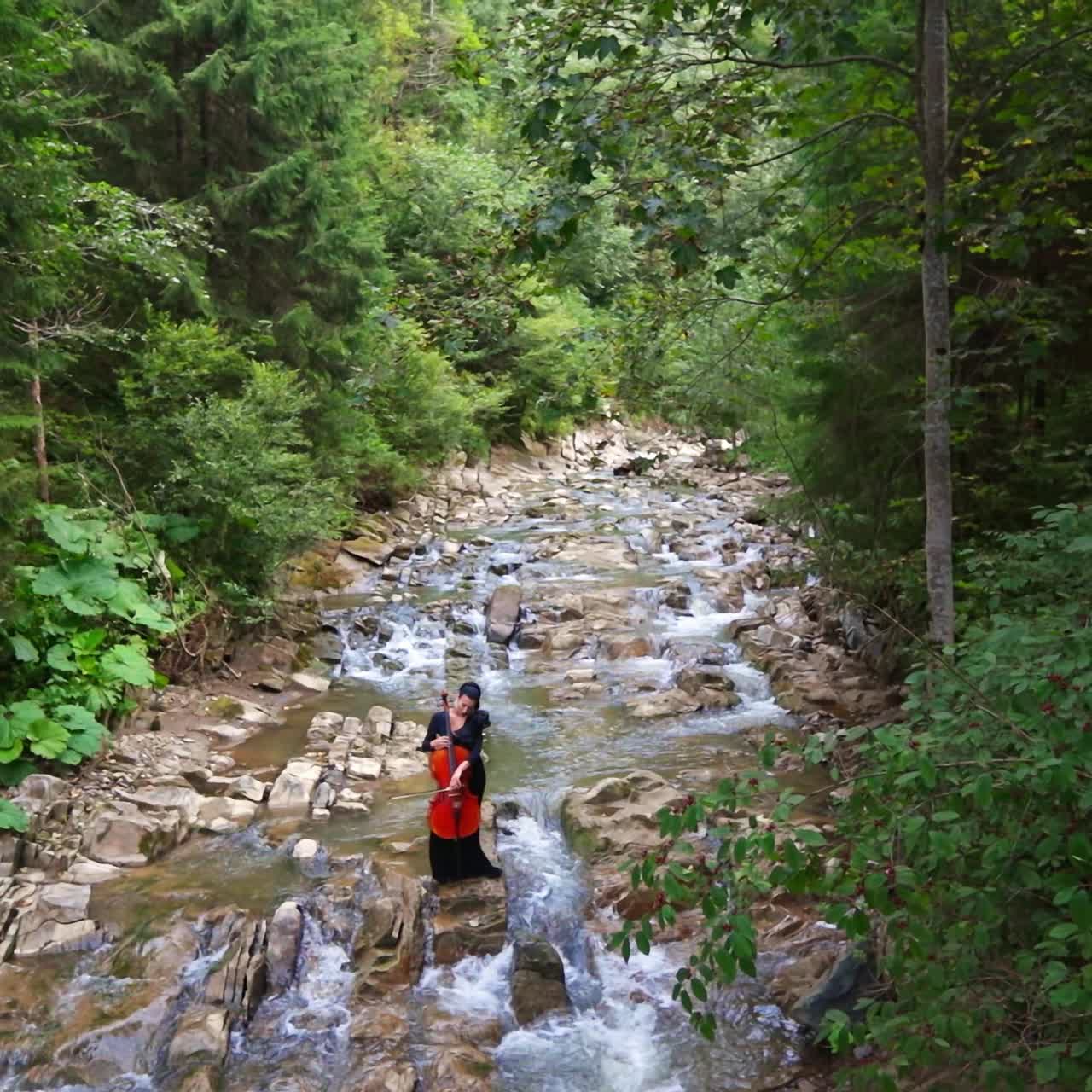 Young cellist among amazing nature. Woman playing the cello while standing in the beautiful shallow river in the green forest. View from above.