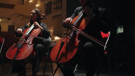 professional musicians are playing cello and violin in opera house classic musical concert