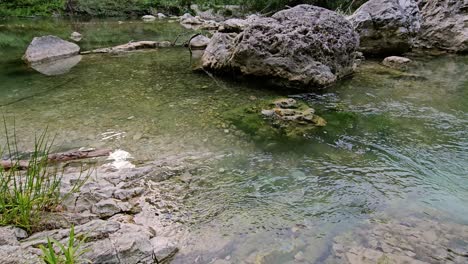 Dieses-Ruhige-Archivmaterial-Zeigt-Einen-Ruhigen-Kleinen-Fluss-Mit-Langsamer-Strömung,-Umgeben-Von-üppigem-Grün