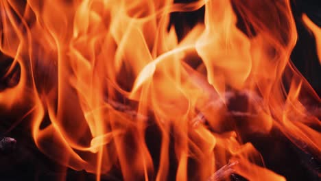 burning fire. bonfire. closeup of flames burning on black background, slow motion