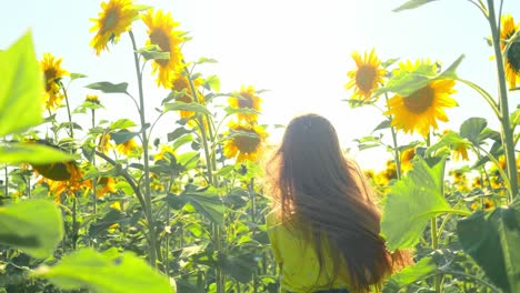 Little Girl in a Sunflower Field