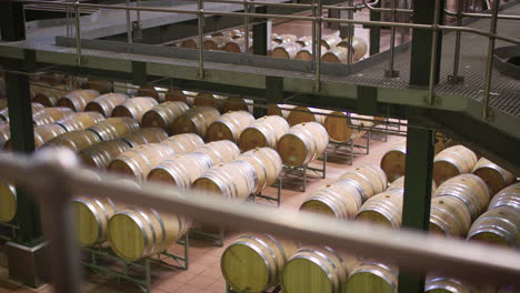 interior de la instalación de vinificación con barricas modernas