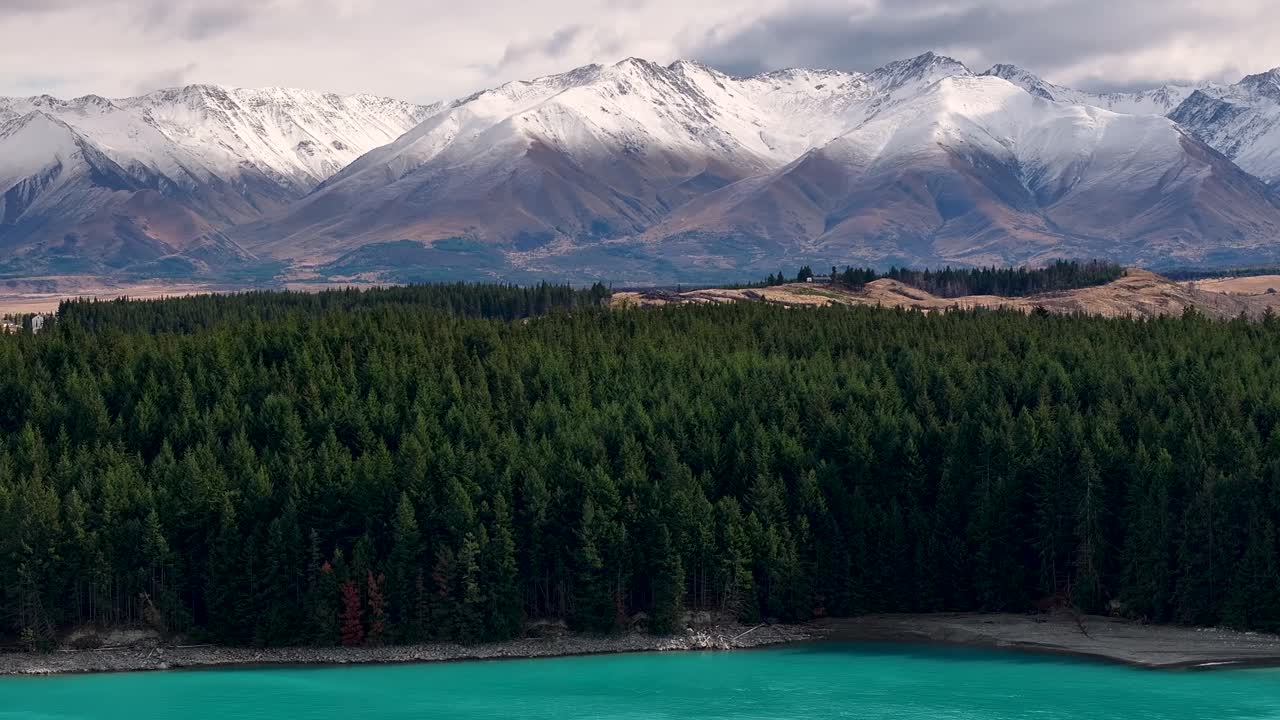 bosque de coníferas en el lago pukaki orilla del lago y majestuosa cordillera de las montañas en el fondo