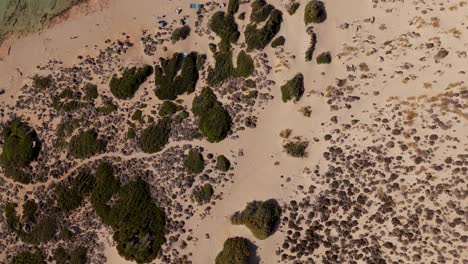 aerial view of sandy terrain with scattered green shrubs in balos lagoon, crete, greece