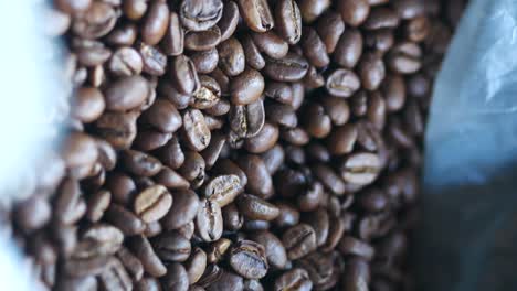 primer plano de los granos de café