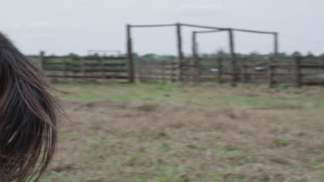 slow motion close-up van een man die op een mooi bruin paard rond zijn weiland rijdt