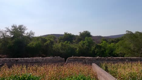 aerial: ex hacienda de san jacinto ixtoluca, corn field with rocky wall during the day in la mezquitera, morelos, mexico, push in tilt down drone shot