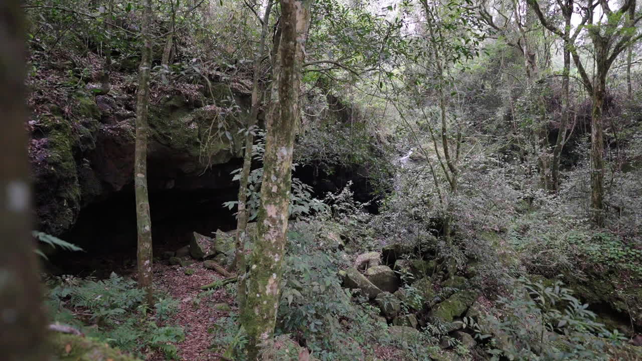 Ripreso da un'angolazione bassa, una foresta fittamente ricoperta di vegetazione presenta una grotta Gruta India in ombra, alberi alti creano una volta, permettendo alla luce solare filtrata di illuminare le cascate che scorrono sullo sfondo