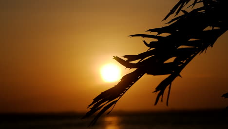 Ein-Wunderschöner-Sonnenuntergang-Am-Meer