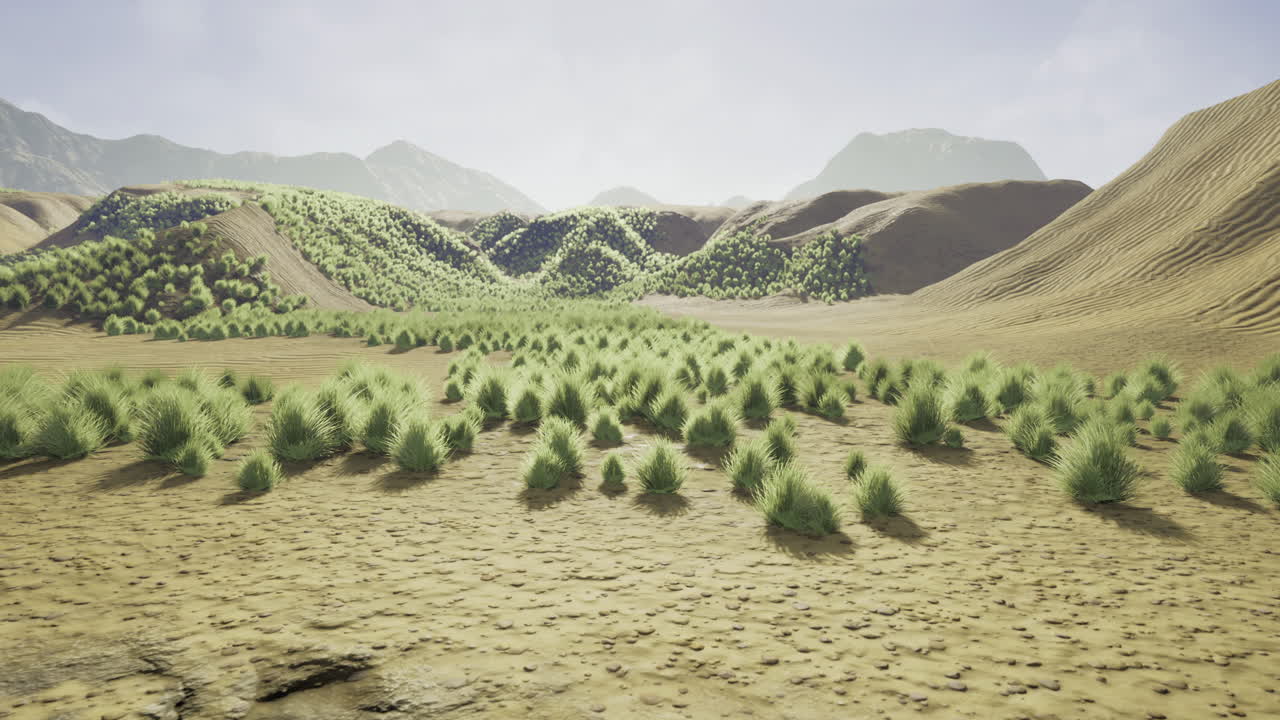 Lush green shrubland flourishes in a vast arid landscape under blue sky