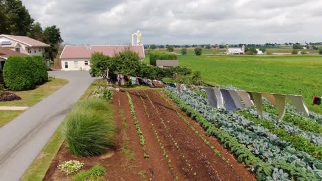 rising reverse aerial of amish vegetable garden, laundry drying in breeze, scenic lancaster, pennsylvania farmland