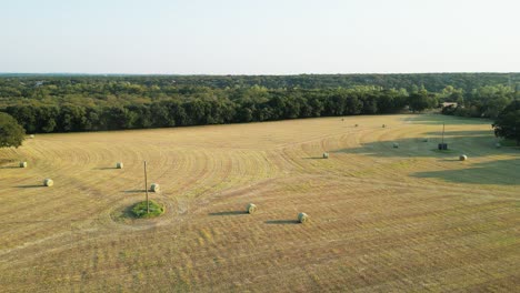 toma de órbita aérea larga y ancha de un gran campo de heno que muestra fardos de heno redondos completos en todo el campo