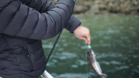 Young-caucasian-fisherman-in-black-jacket-holding-caught-fish-on-boat-in-New-Zealand