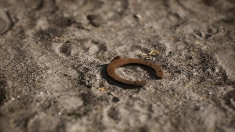 one old rusty metal horseshoe