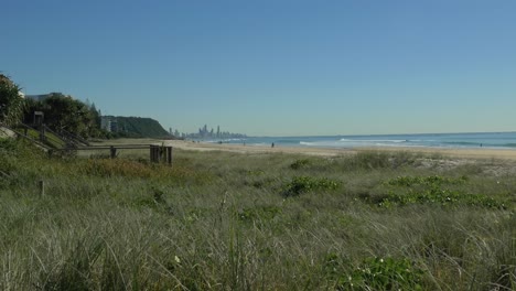 Hierba-Verde-Cerca-Del-Océano---Playa-De-La-Costa-Dorada-Durante-El-Verano---Océano-Bajo-El-Cielo-Azul---Queensland,-Australia