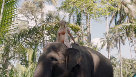 mujer feliz montando un elefante en la jungla con los brazos levantados disfrutando de la libertad explorando el exótico bosque tropical divirtiéndose en una aventura con un compañero animal 4k