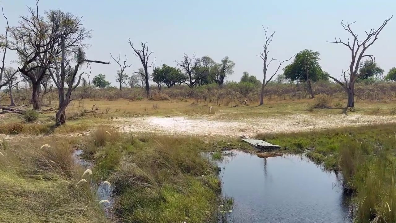 Approaching the shore of Xakanaxa Lagoon in Moremi Game Reserve. Okavango Delta, Botswana.