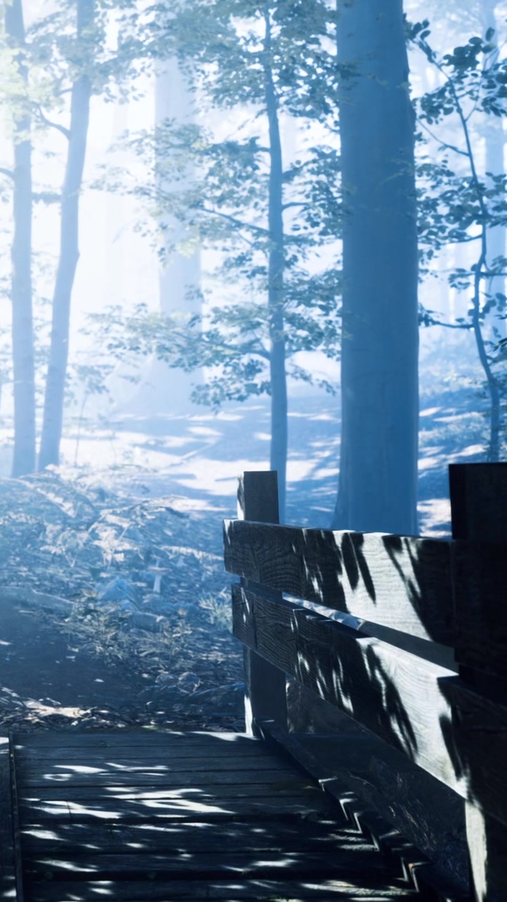 Morning light dances through trees on a serene forest bridge