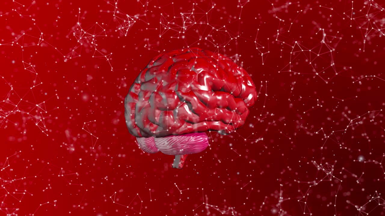 el fondo del cerebro 4k