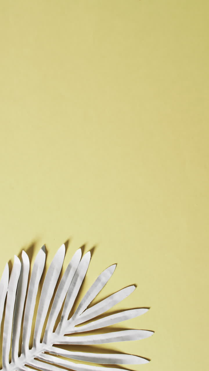 Vertical video of white leaves with copy space on yellow background