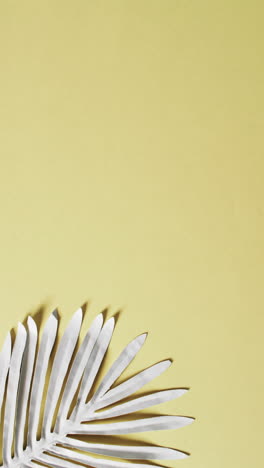 vertical video of white leaves with copy space on yellow background