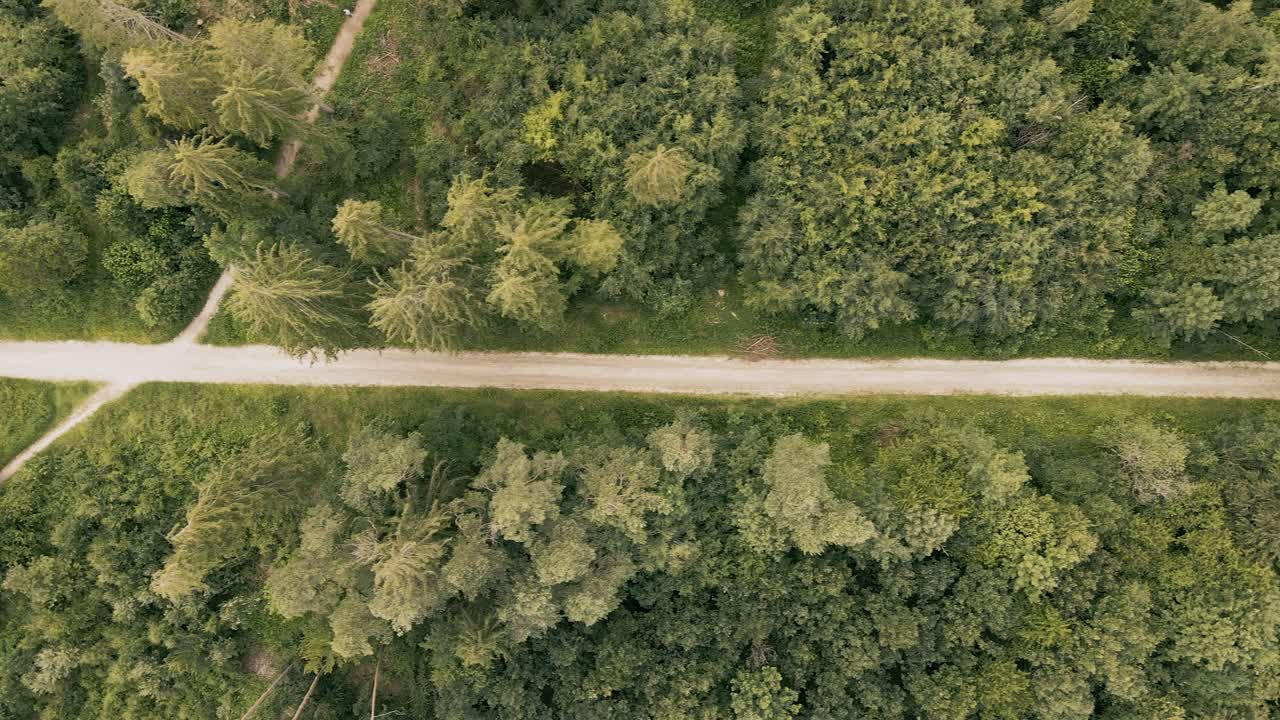 숲을 통과하는 등산로의 하향식 전망