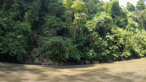looking across flowing ayung river to wall of hanging rainforest trees with pan right to reveal empty red raft