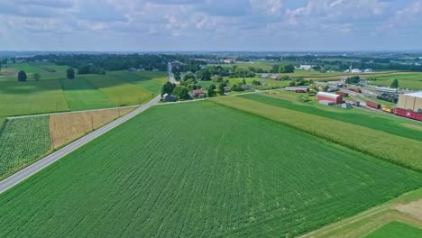 An-Aerial-Traveling-View-of-Corn-Fields-and-Harvesting-Crops,-with-Patches-of-Color-on-a-Beautiful-Summer-Day