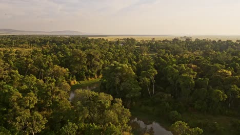 africa scenery aerial shot of beautiful forest landscape and trees in amazing travel experience flying high over masai mara in hot air balloon ride flight, view from above african nature at sunrise