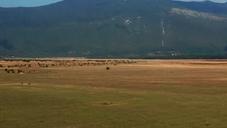 Langsamer-Flug-Auf-Einen-Einzelnen-Baum-Auf-Einem-Weiten-Feld-Mit-Wunderschönem-Bergblick-Zu,-Schwindelgefühl