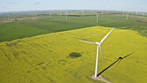 Las-Torres-Eólicas-Se-Yerguen-Contra-Los-Campos-De-Colza-Amarilla-A-Través-De-La-Luz-Del-Día-En-Saskatchewan,-Canadá