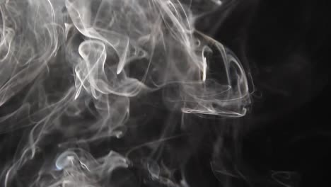 smoke curls against a black background 1