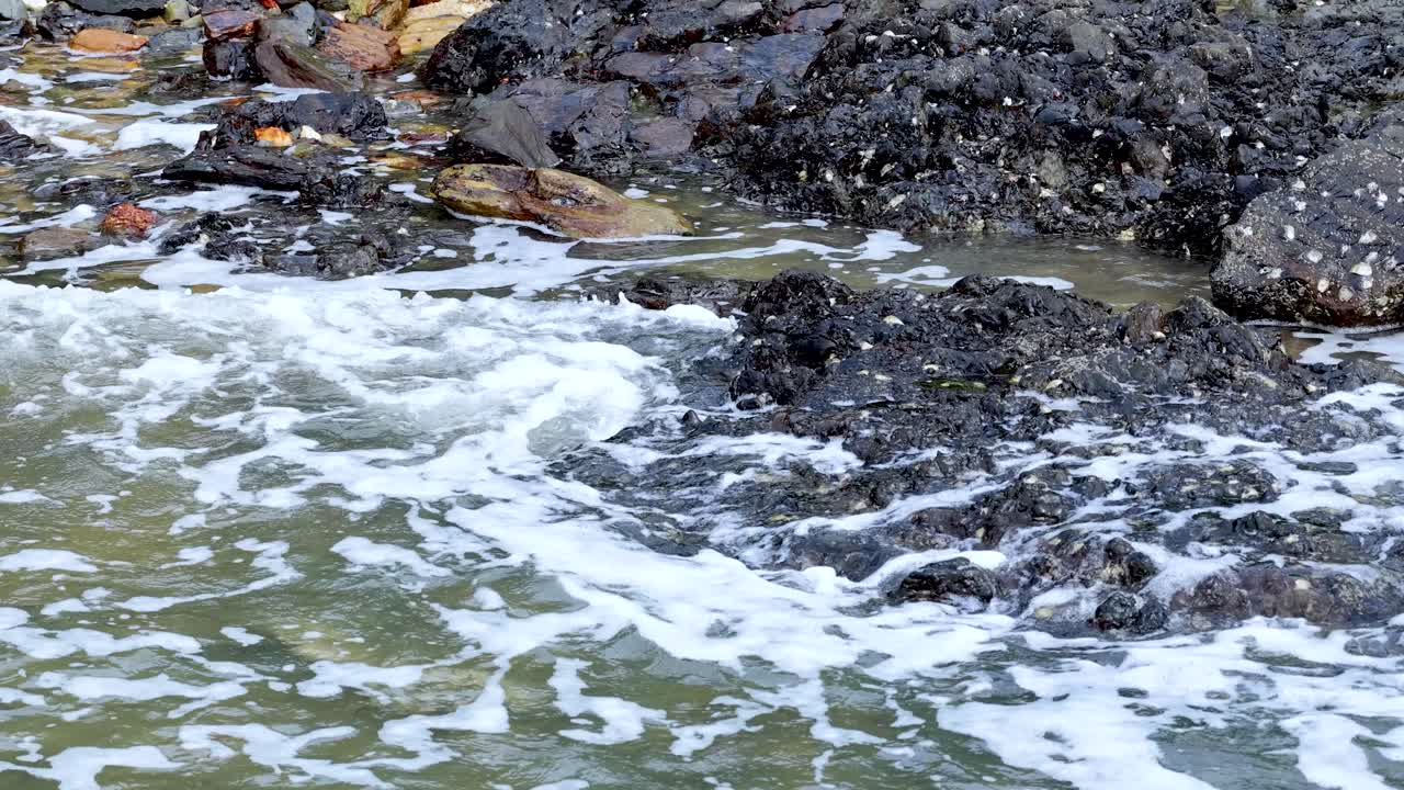 Onde oceaniche spumeggianti si infrangono su rocce vulcaniche su una costa tropicale australiana, luce del giorno, scatto statico