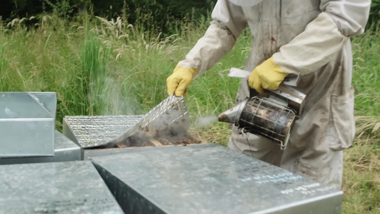 En biavler klædt i en beskyttelsesdragt med myggenet på hovedet sprøjter hvid røg over en bikube med bier med et særligt tilbehør, en biavlerstøvsuger, der arbejder i skoven