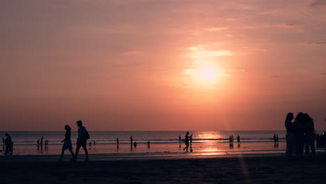 silhouette of people enjoying sunset on the beach