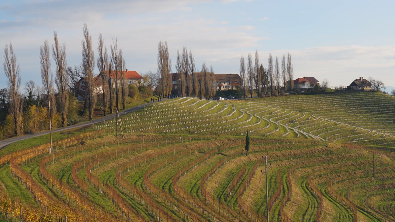 Scenic vineyard landscape near Jamnik Slovenia with rolling hills and autumn colors