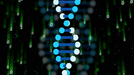 DNA strand and binary coding, scientific data processing animation