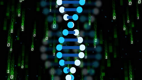 dna strand and binary coding, scientific data processing animation